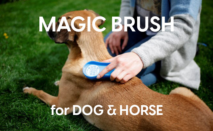 MagicBrush Putzzeug Pferd Hund