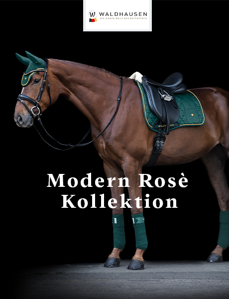 Waldhausen Modern Rose Kollektion